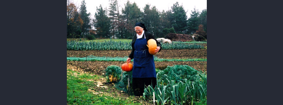 soeur qui recolte des citrouilles