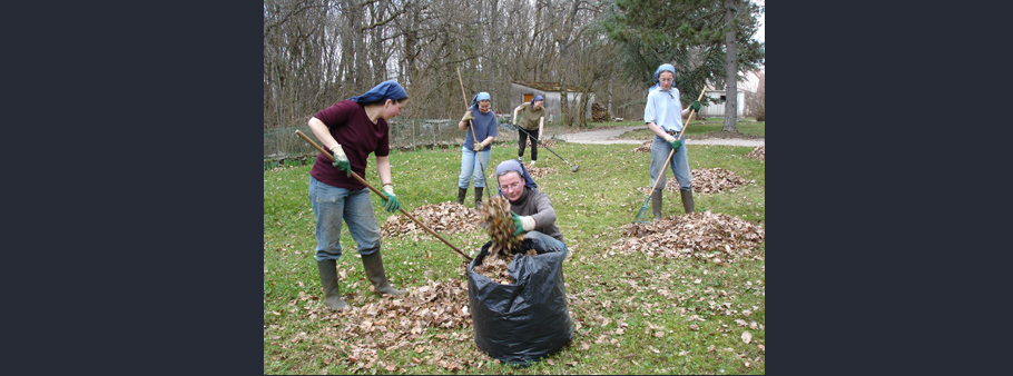 soeurs qui ramassent les feuilles