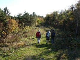 trois personnes marchant dans la campagne