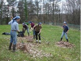Ramassage des feuilles